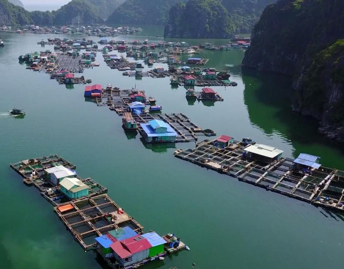 Cat Ba Thailand Hotel Dong Khe Sau エクステリア 写真